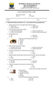 Soal Ipa Kelas 4 Sd - Piffle me
