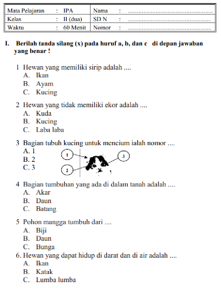 Mengasah Kecerdasan Sejak Dini Contoh Soal Olimpiade IPA Kelas 2 SD