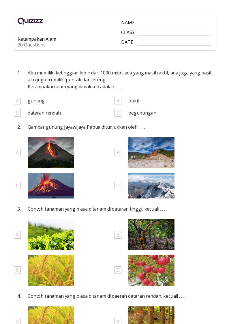 50 lembar kerja Aktivitas Alam untuk Kelas 4 di Quizizz Gratis